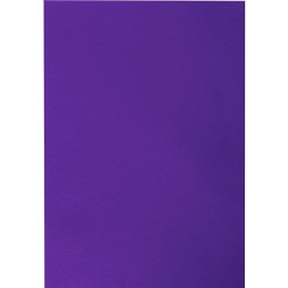 Filc Craft-Fun Series A4 kolor: fioletowy 10 ark. Titanum (058)