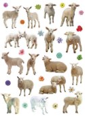 Naklejka (nalepka) Craft-Fun Series Sheep Titanum