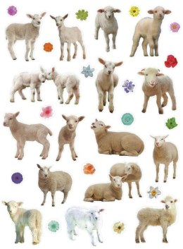 Naklejka (nalepka) Craft-Fun Series Sheep Titanum