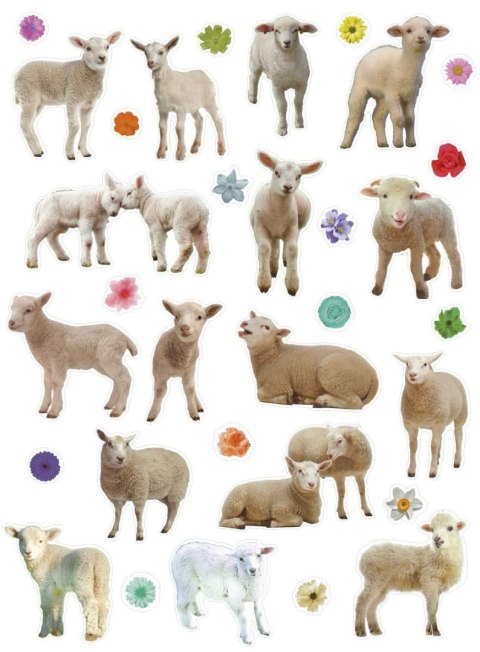 Naklejka (nalepka) Craft-Fun Series Sheep Titanum Naklejka (nalepka) Craft-Fun Series Sheep Titanum