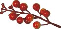 Ozdoba na piku Craft-Fun Series gałązki winobluszczu Titanum (5903714533640)