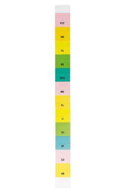 Teczka segregująca PP Titanum A4 z gumką 13 przegródek czarna (TPO12BC)