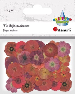 Naklejka (nalepka) Craft-Fun Series Naklejki papierowe Titanum (24XQ0501-13)