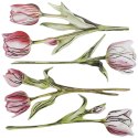 Ozdoba papierowa Craft-Fun Series Flower Letter tulipany Titanum (24XQ0501-11)