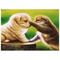 Zestaw kreatywny Diamentowa mozaika 30x40cm Psy 1 Flamingo Line (TMF1039)
