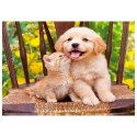 Zestaw kreatywny Diamentowa mozaika 30x40cm Pies i kot Flamingo Line (TGC71495)