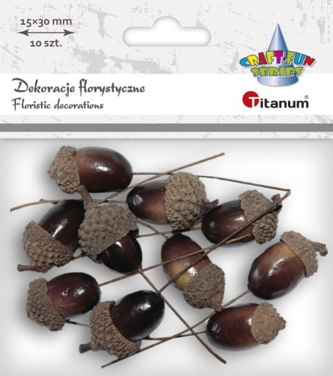 Gałązka Craft-Fun Series żolędzie Titanum (20625) Gałązka Craft-Fun Series żolędzie Titanum (20625)