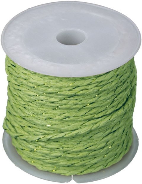 Sznurek Craft-Fun Series papierowy 10m Titanum (24BR0201-15(green)) Sznurek Craft-Fun Series papierowy 10m Titanum (24BR0201-15(green))