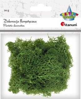 Dekoracja Craft-Fun Series dekoracja florystyczna mech chrobotek Titanum (2324045 DG)