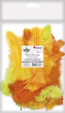 Piórka Craft-Fun Series mix Titanum (16079C)