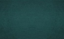 Wstążka Craft-Fun Series satynowa 100x25 [mm x m] zielony butelkowy Titanum (TS100-012B)