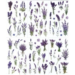Naklejka (nalepka) Craft-Fun Series Lawenda foliowe Titanum (25MD003)