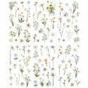 Naklejka (nalepka) Craft-Fun Series Stokrotki foliowe Titanum (25MD004)